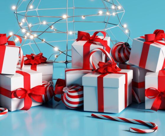 Christmas Gift Guide 2025