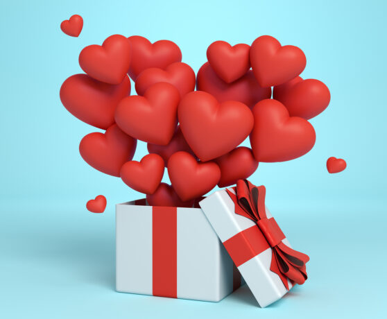 The Valentines Collection 2026