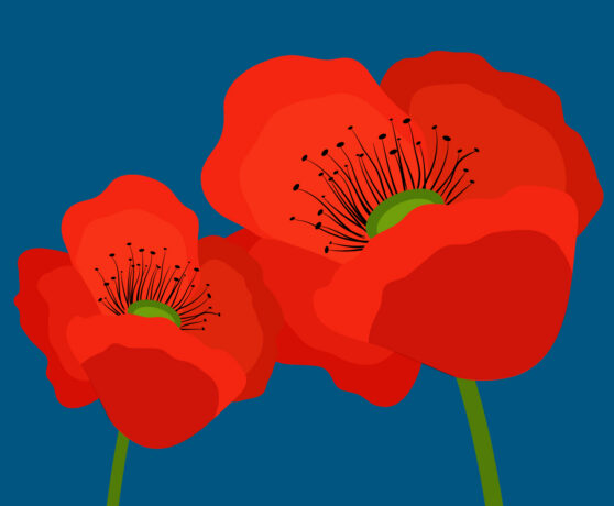 ANZAC Day Hours 2026